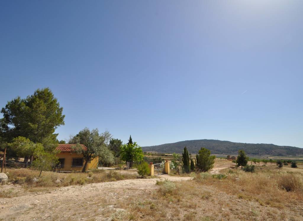 Venta - Terreno - Pinoso - Rural location