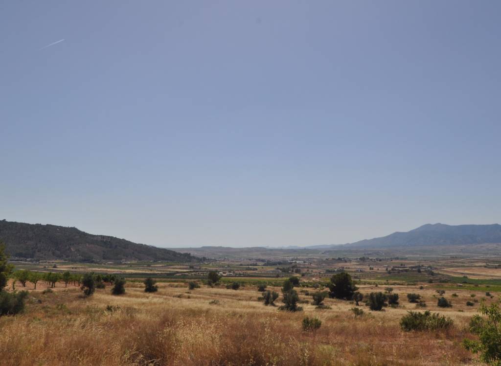 Venta - Terreno - Pinoso - Rural location
