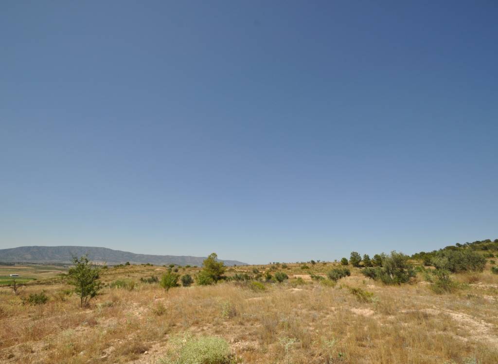 Venta - Terreno - Pinoso - Rural location
