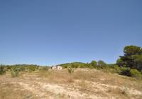 Venta - Terreno - Pinoso - Rural location