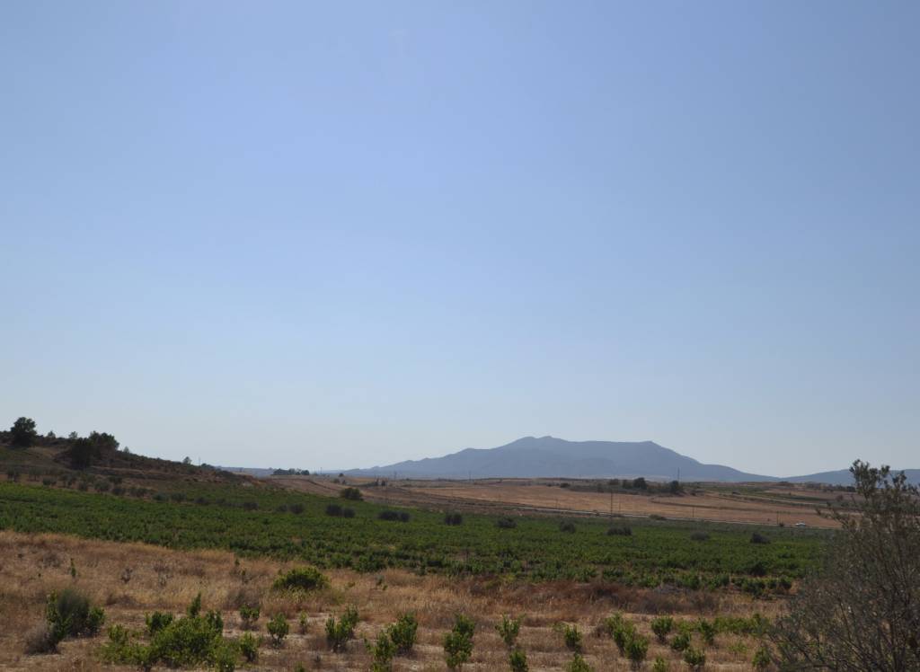 Venta - Terreno - Pinoso - Rural location