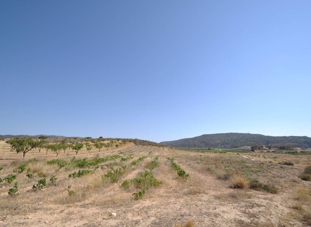 Venta - Terreno - Pinoso - Rural location