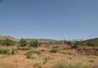 Venta - Terreno - Pinoso - Rural location
