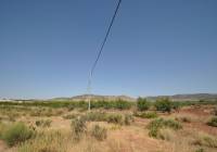 Venta - Terreno - Pinoso - Rural location