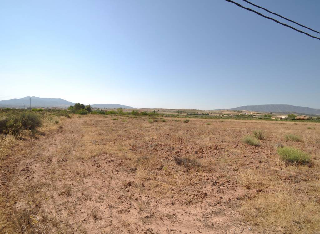 Venta - Terreno - Pinoso - Rural location