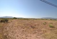 Venta - Terreno - Pinoso - Rural location