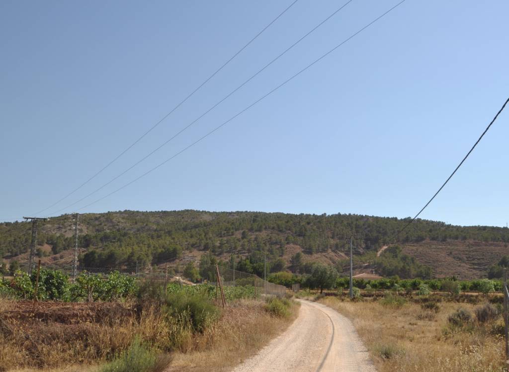 Venta - Terreno - Pinoso - Rural location