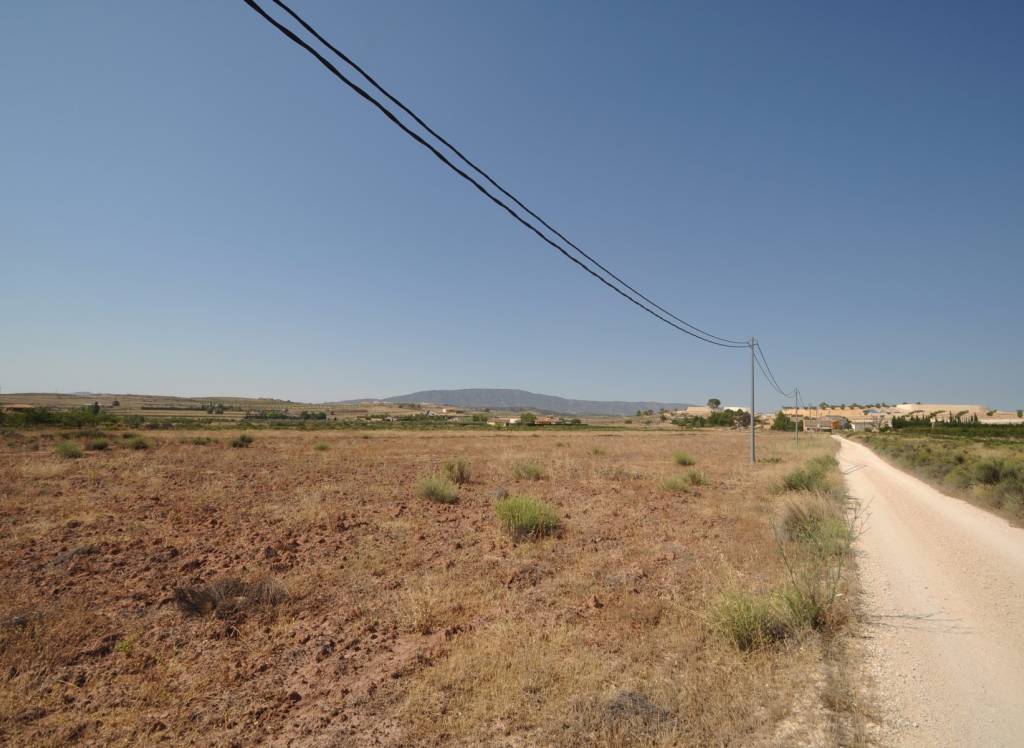 Venta - Terreno - Pinoso - Rural location