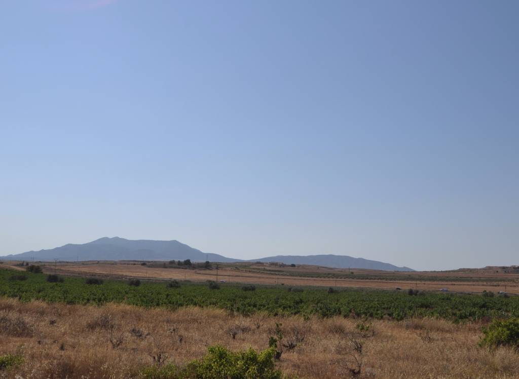 Venta - Terreno - Pinoso - Rural location