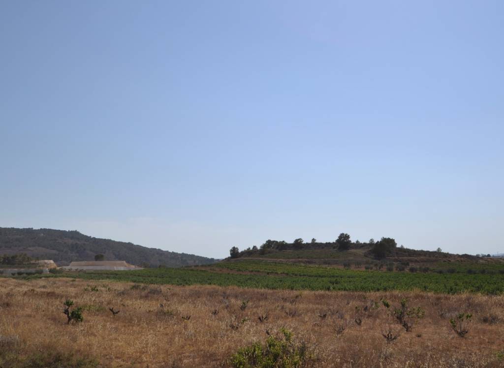 Venta - Terreno - Pinoso - Rural location