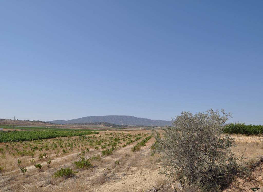 Venta - Terreno - Pinoso - Rural location