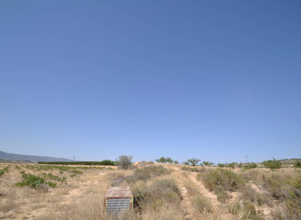 Venta - Terreno - Pinoso - Rural location