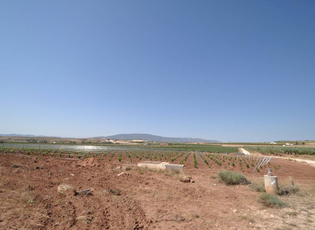 Venta - Terreno - Pinoso - Rural location