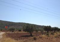 Venta - Terreno - Pinoso - Rural location