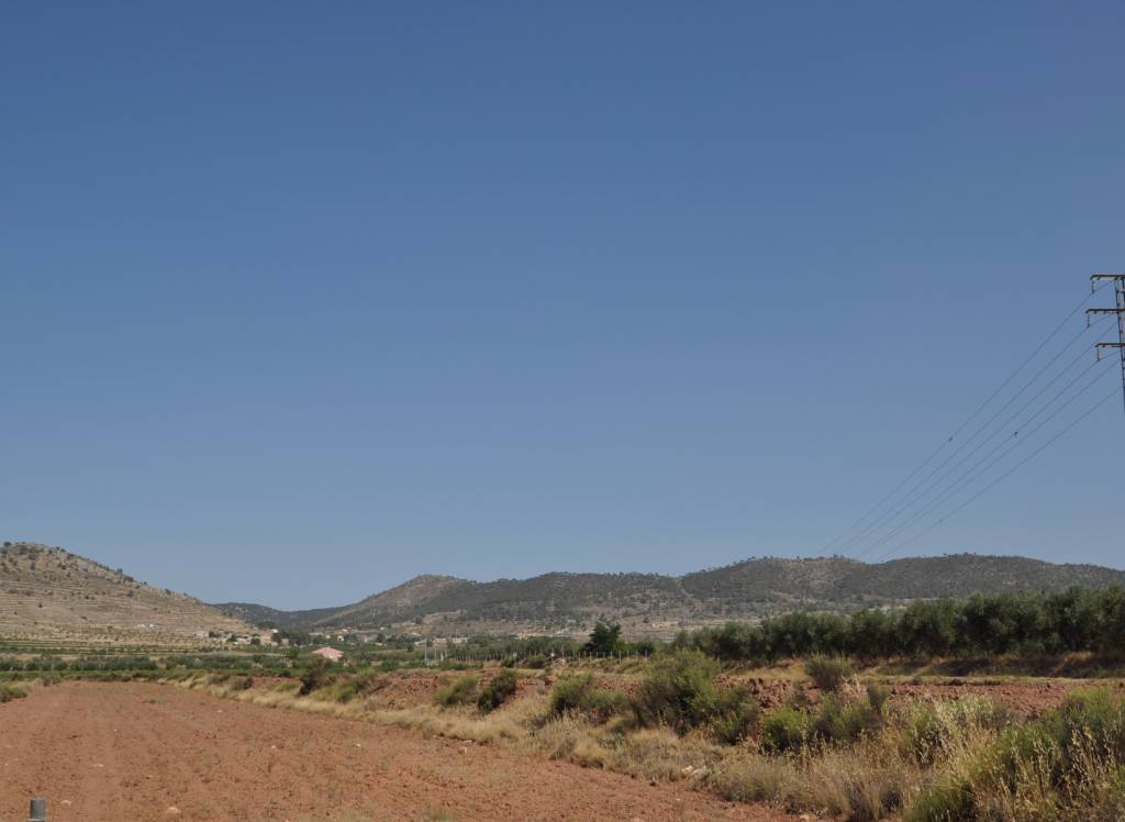 Venta - Terreno - Pinoso - Rural location