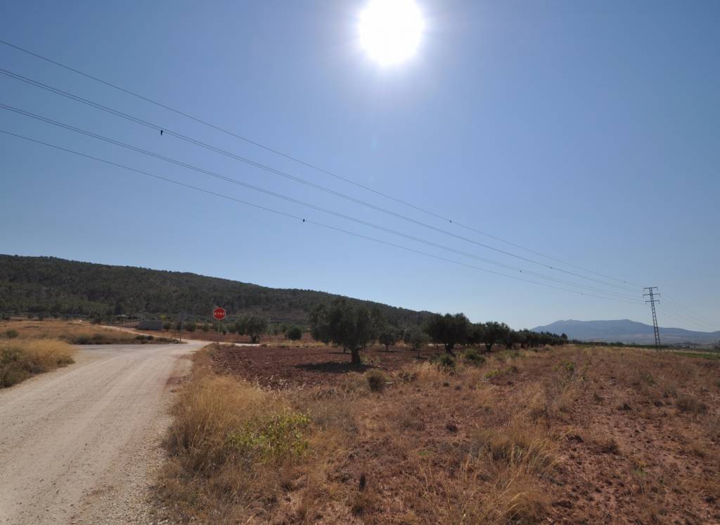 Venta - Terreno - Pinoso - Rural location