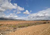 Venta - Terreno - Pinoso - Rural location