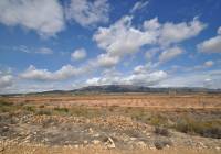 Venta - Terreno - Pinoso - Rural location