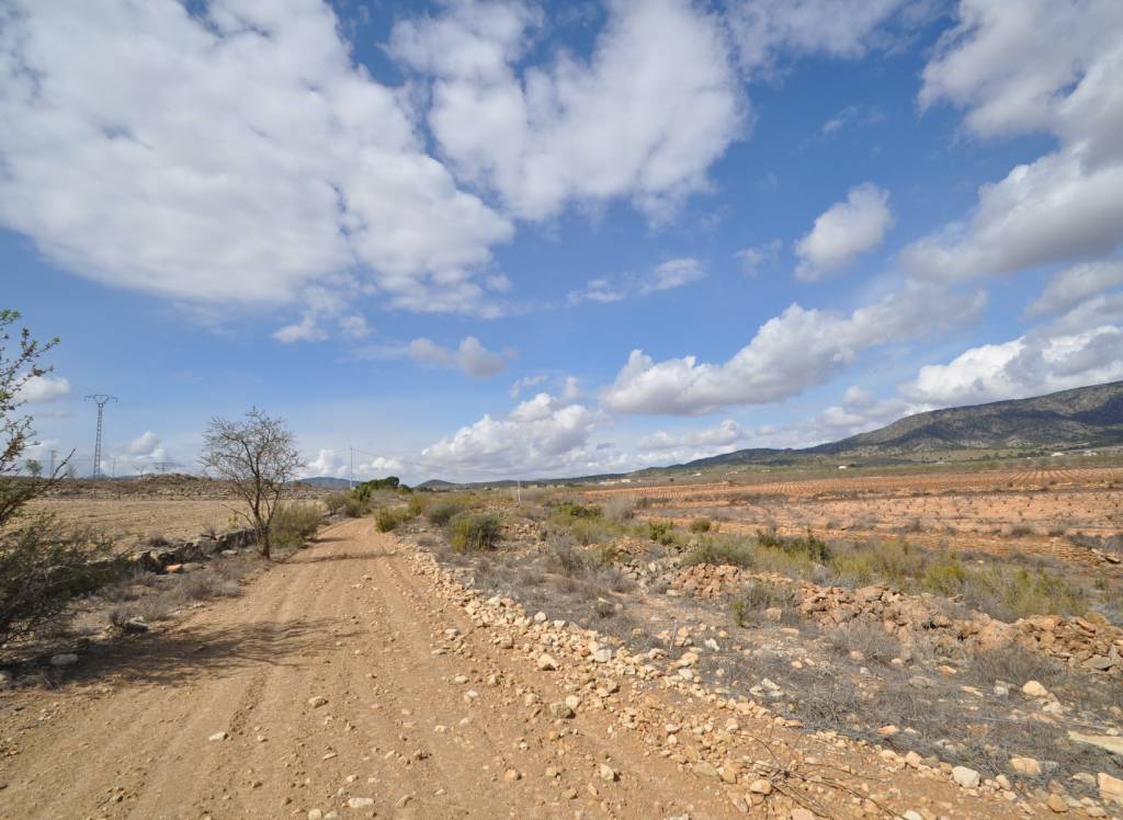 Venta - Terreno - Pinoso - Rural location