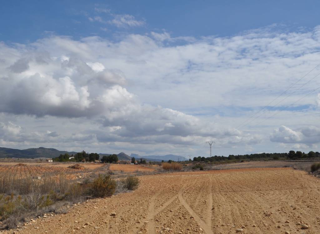 Venta - Terreno - Pinoso - Rural location
