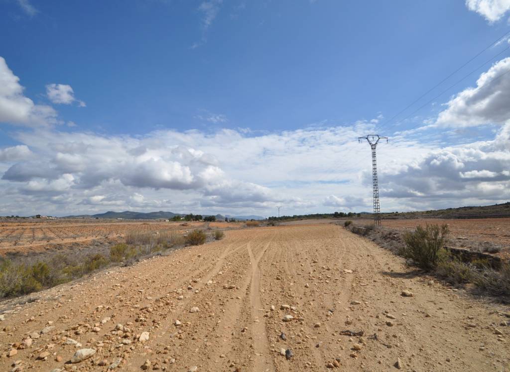 Venta - Terreno - Pinoso - Rural location