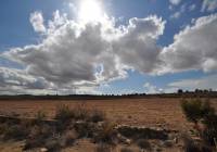 Venta - Terreno - Pinoso - Rural location
