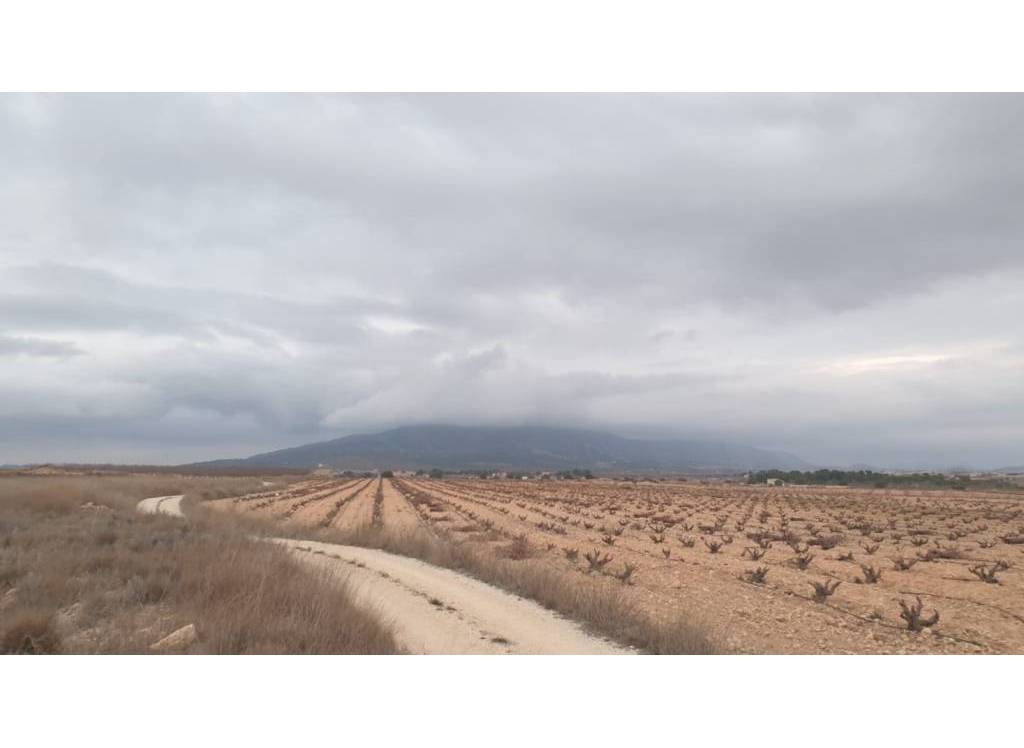 Venta - Terreno - Pinoso - Rural location