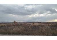 Venta - Terreno - Pinoso - Rural location