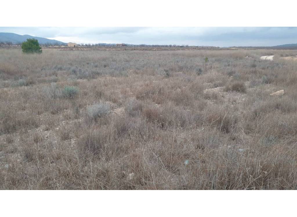 Venta - Terreno - Pinoso - Rural location