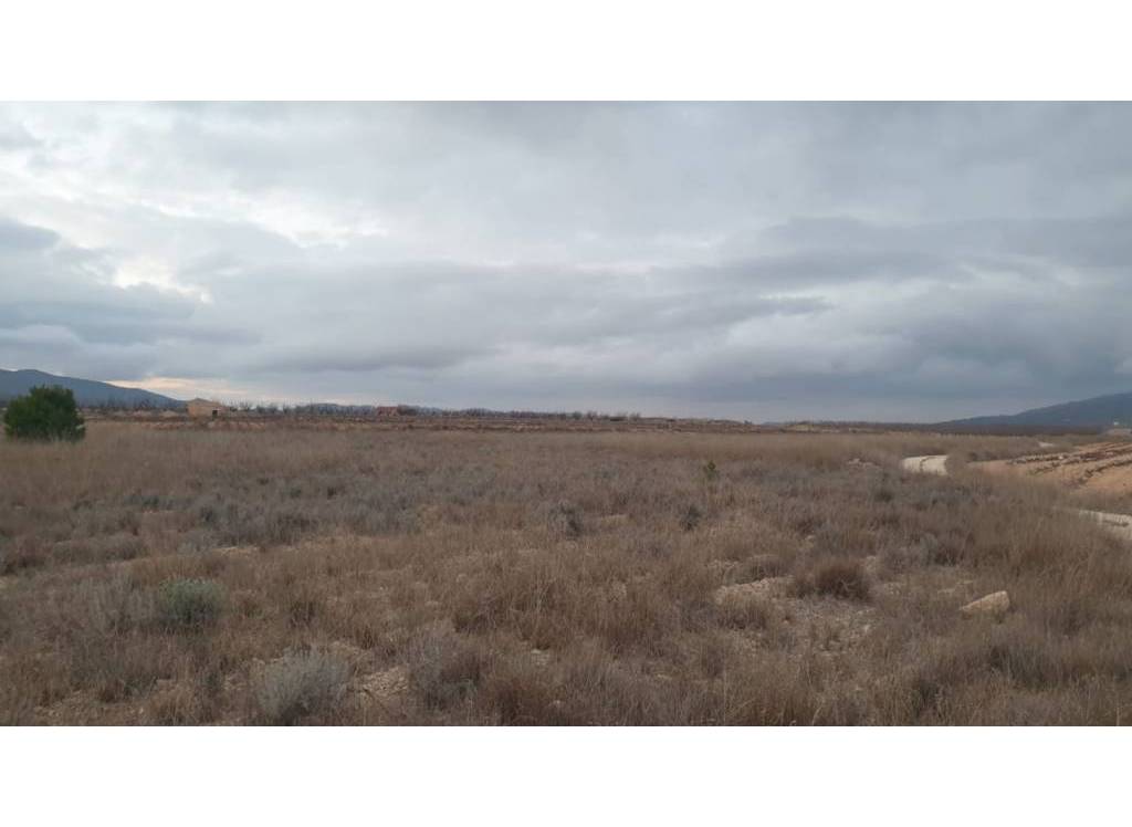 Venta - Terreno - Pinoso - Rural location