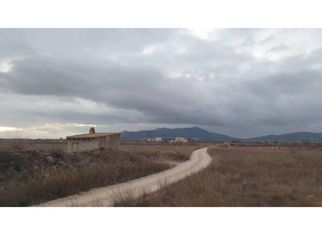 Venta - Terreno - Pinoso - Rural location
