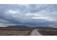 Venta - Terreno - Pinoso - Rural location