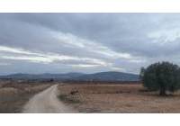 Venta - Terreno - Pinoso - Rural location