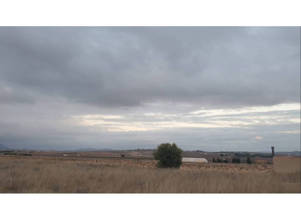 Venta - Terreno - Pinoso - Rural location