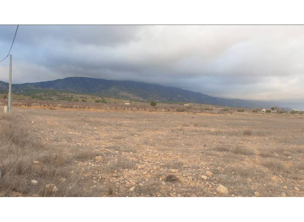 Venta - Terreno - Pinoso - Rural location