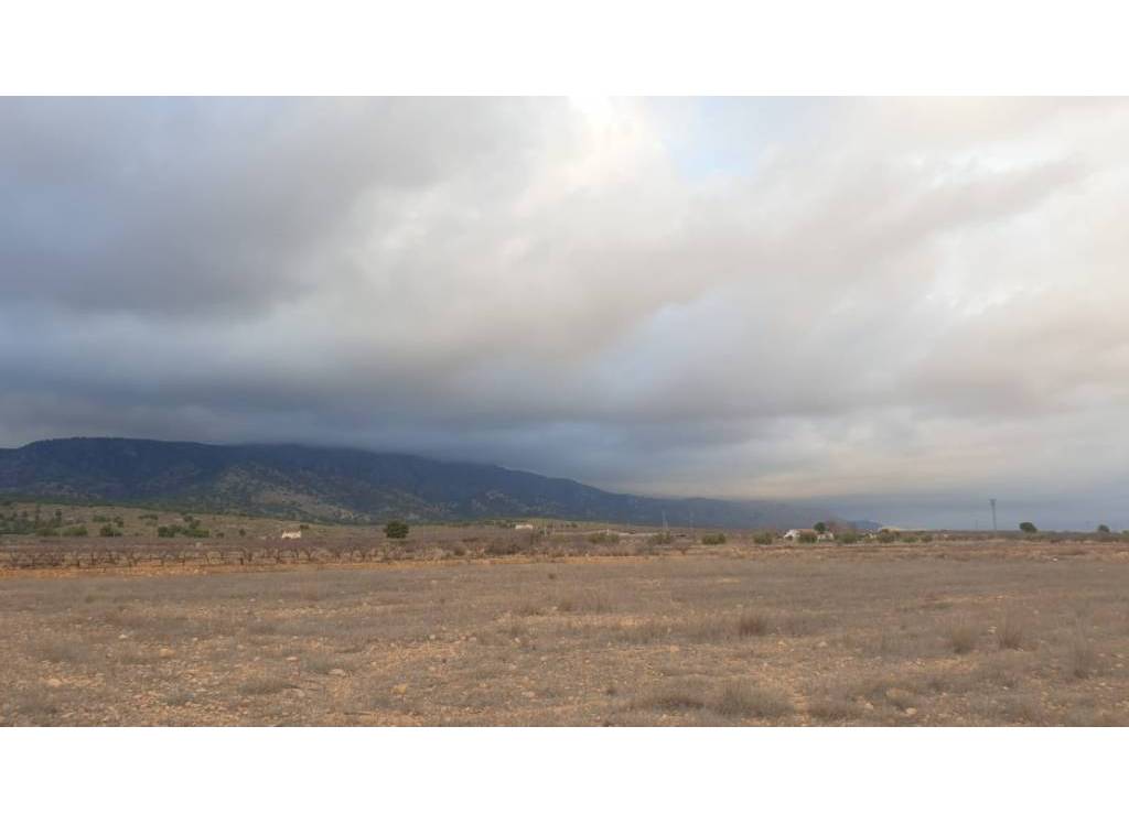 Venta - Terreno - Pinoso - Rural location