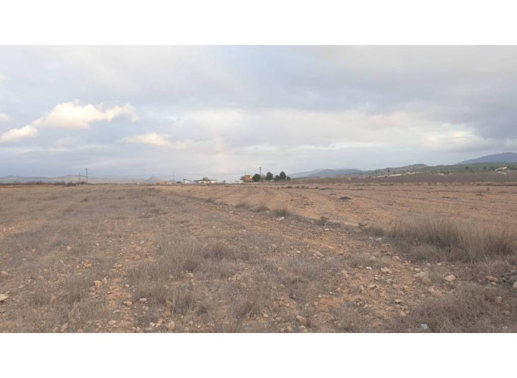 Venta - Terreno - Pinoso - Rural location