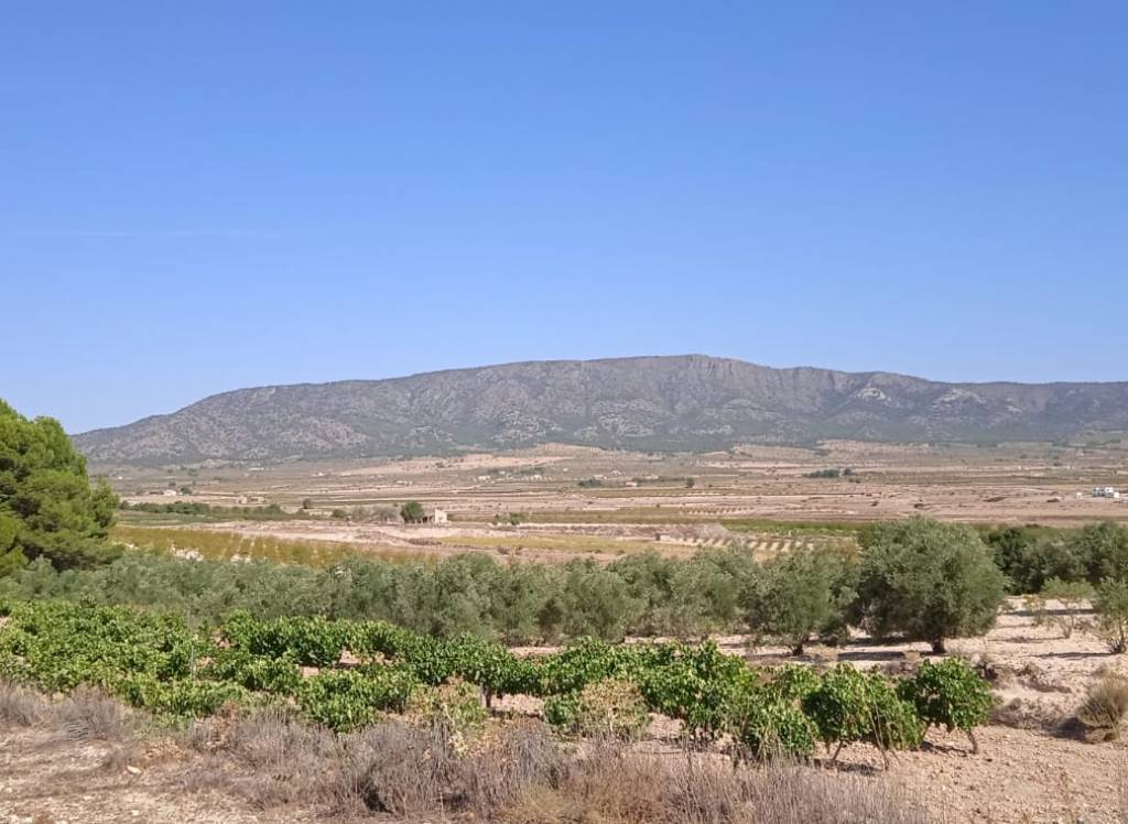 Venta - Terreno - Pinoso - Rural location
