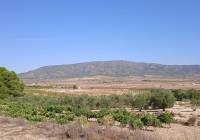 Venta - Terreno - Pinoso - Rural location