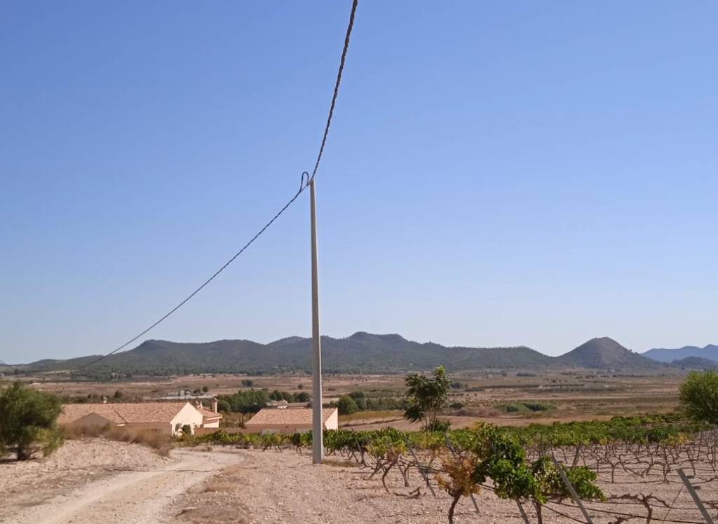 Venta - Terreno - Pinoso - Rural location