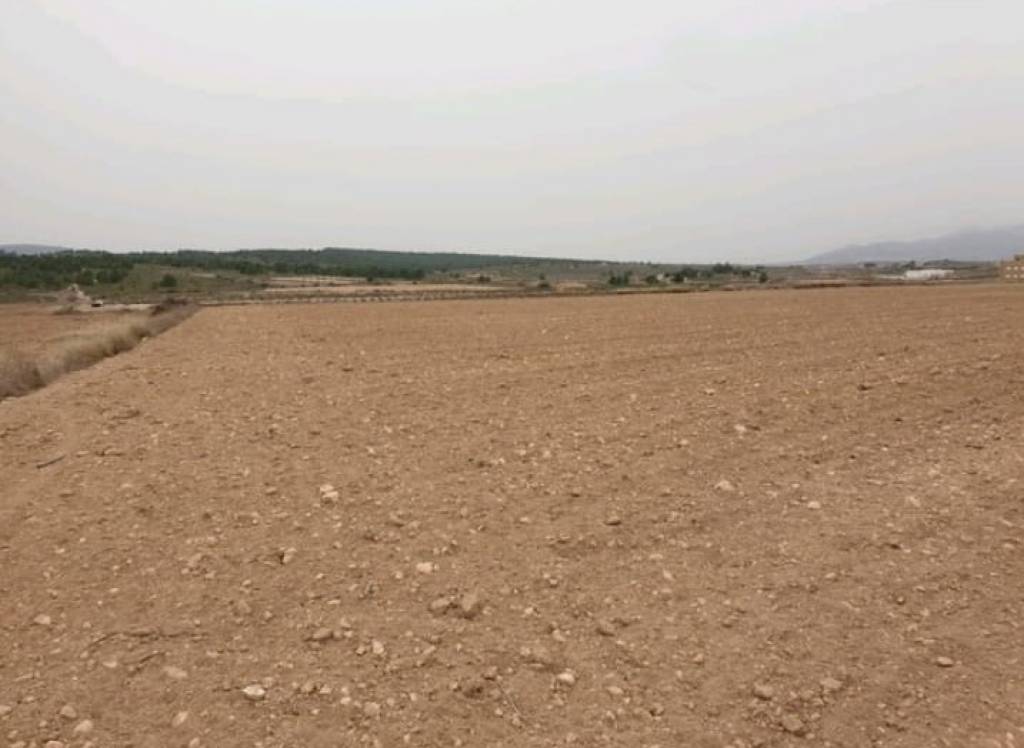 Venta - Terreno - Pinoso - Rural location