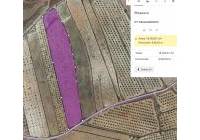 Venta - Terreno - Pinoso - Rural location