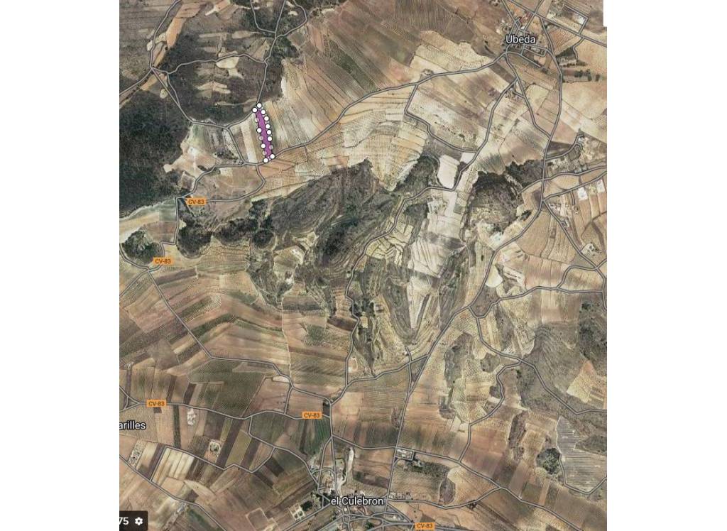 Venta - Terreno - Pinoso - Rural location