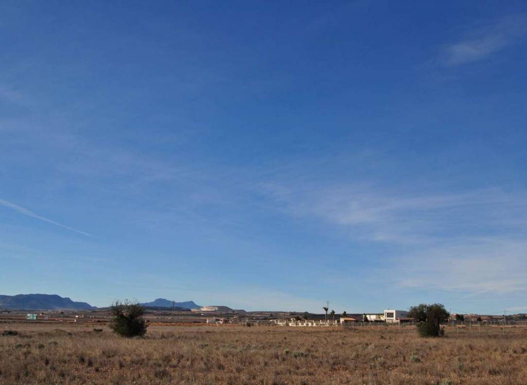 Venta - Terreno - Pinoso - Rural location