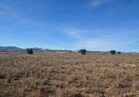Venta - Terreno - Pinoso - Rural location