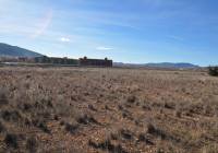 Venta - Terreno - Pinoso - Rural location