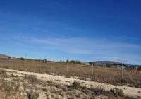 Venta - Terreno - Pinoso - Rural location