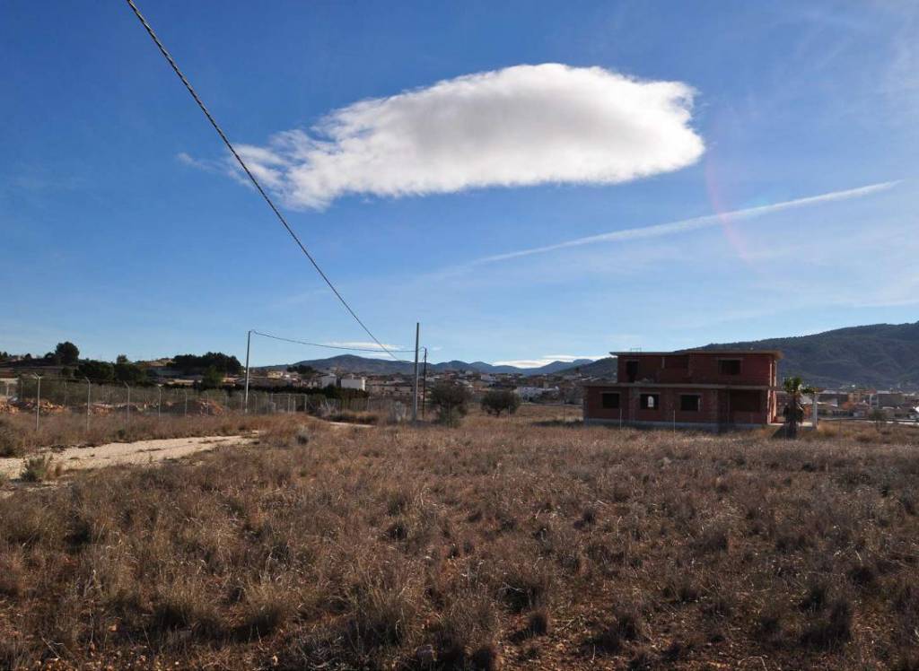 Venta - Terreno - Pinoso - Rural location