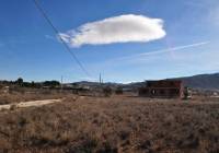 Venta - Terreno - Pinoso - Rural location