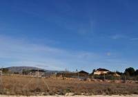 Venta - Terreno - Pinoso - Rural location